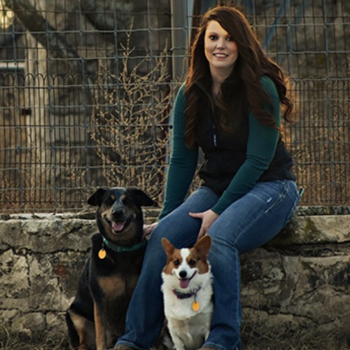 vet staff holding a kitten