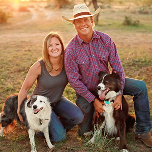 two vet staff and cats wearing e-collars